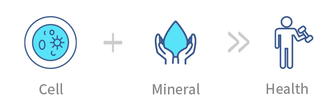mineral